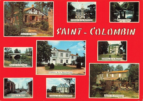 Saint colombin - saint,